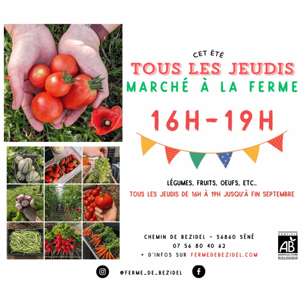 FB réouverture (Publication Instagram)(4)